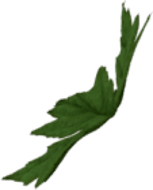 leaf